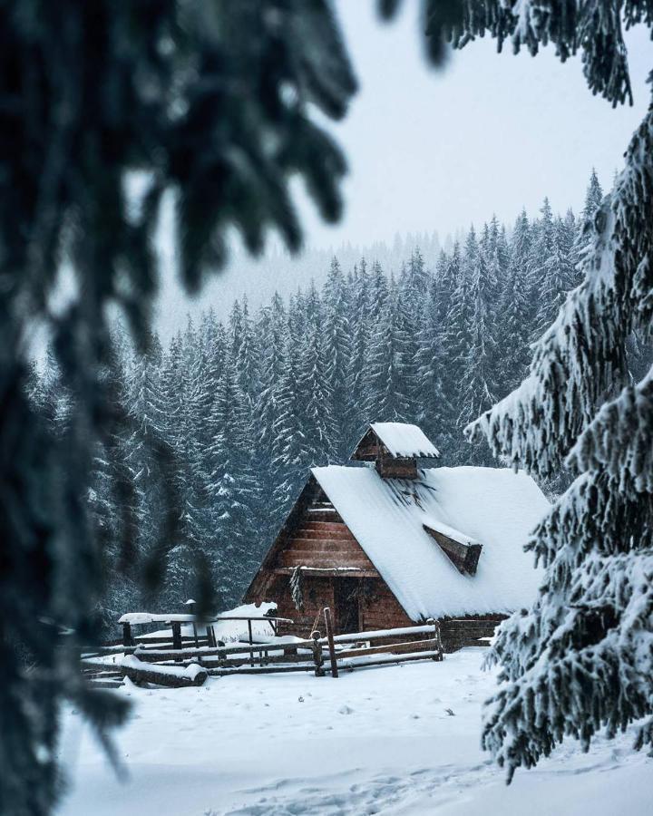 Villa Grand Skhidnytsia Dış mekan fotoğraf